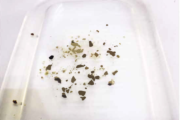 シリカルG｜シリカ系スケール剥離剤