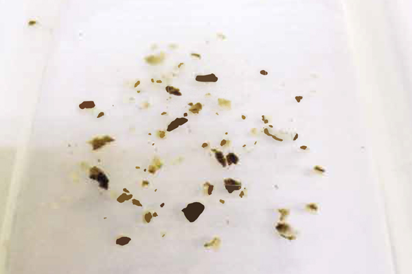 シリカルG｜シリカ系スケール剥離剤