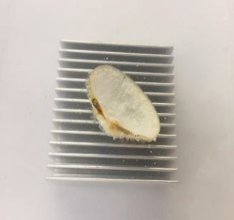 カルスケA｜カルシウム溶解剤（アルミ・軽金属用）