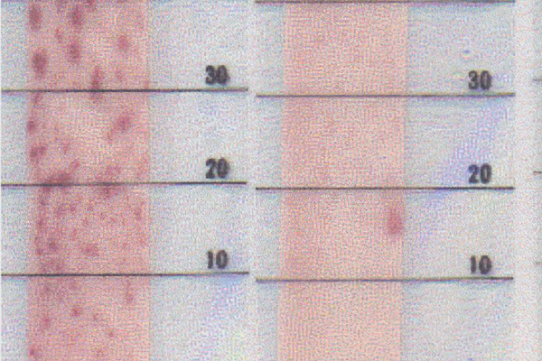 ピュアクレン50・ピュアクレン25・ピュアクレン0