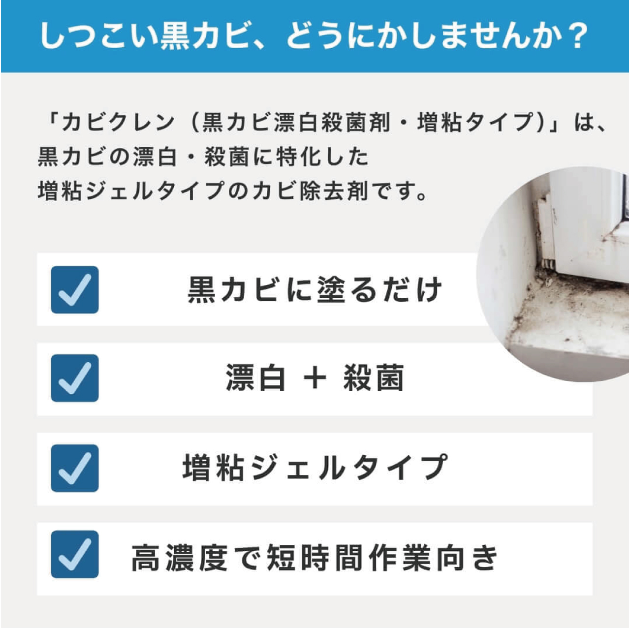 カビクレン　黒カビ漂白殺菌剤 （増粘タイプ）